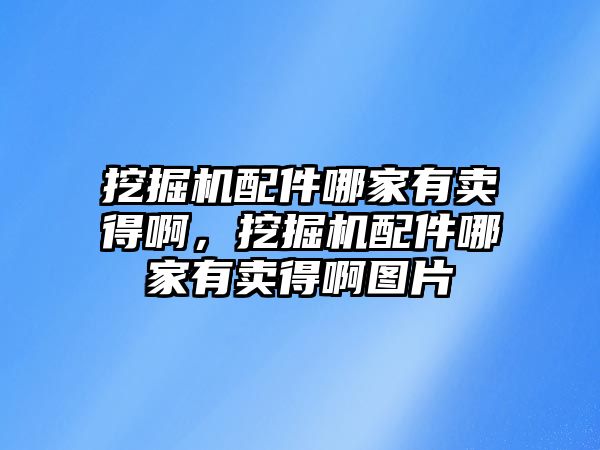 挖掘機配件哪家有賣得啊，挖掘機配件哪家有賣得啊圖片