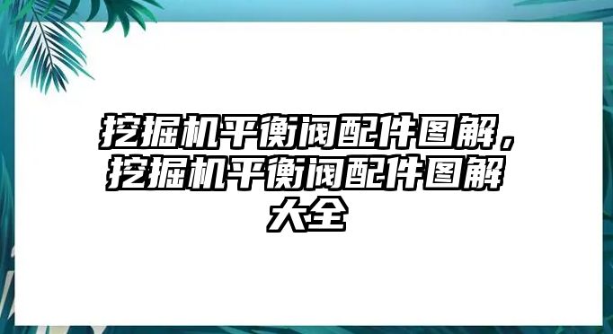 挖掘機(jī)平衡閥配件圖解，挖掘機(jī)平衡閥配件圖解大全