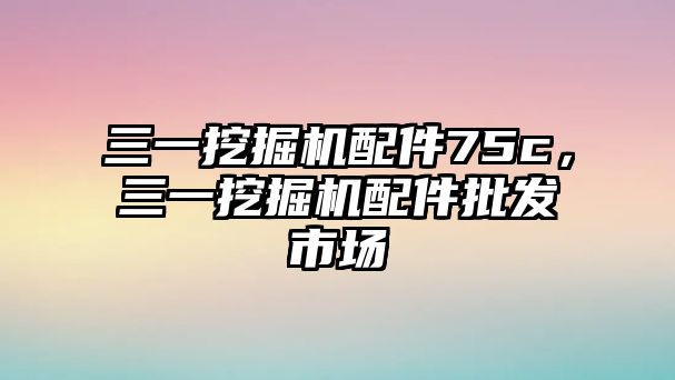 三一挖掘機配件75c，三一挖掘機配件批發(fā)市場