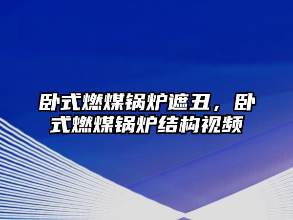 臥式燃煤鍋爐遮丑，臥式燃煤鍋爐結(jié)構(gòu)視頻