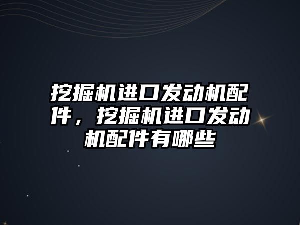 挖掘機進口發(fā)動機配件，挖掘機進口發(fā)動機配件有哪些