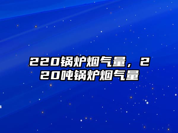 220鍋爐煙氣量，220噸鍋爐煙氣量