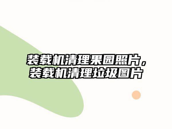 裝載機清理果園照片，裝載機清理垃圾圖片