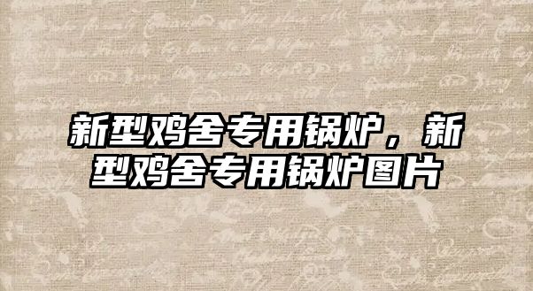 新型雞舍專(zhuān)用鍋爐，新型雞舍專(zhuān)用鍋爐圖片