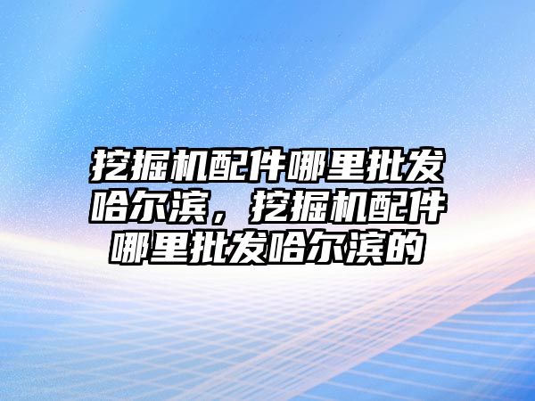 挖掘機配件哪里批發(fā)哈爾濱，挖掘機配件哪里批發(fā)哈爾濱的