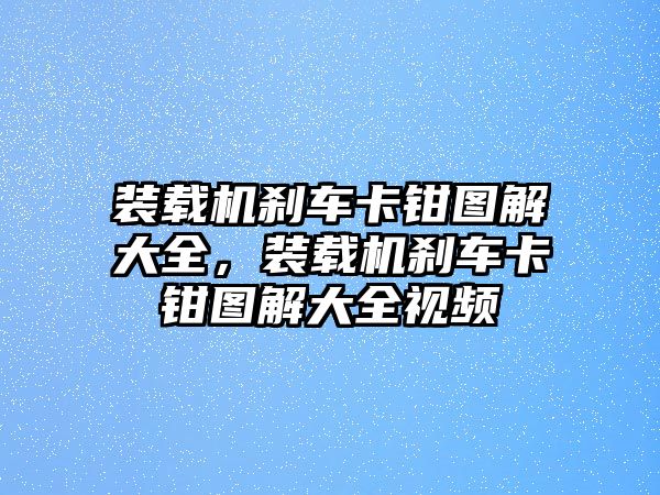 裝載機(jī)剎車卡鉗圖解大全，裝載機(jī)剎車卡鉗圖解大全視頻