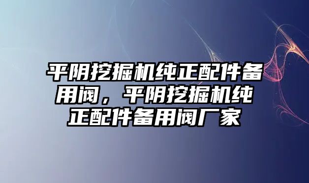 平陰挖掘機純正配件備用閥，平陰挖掘機純正配件備用閥廠家