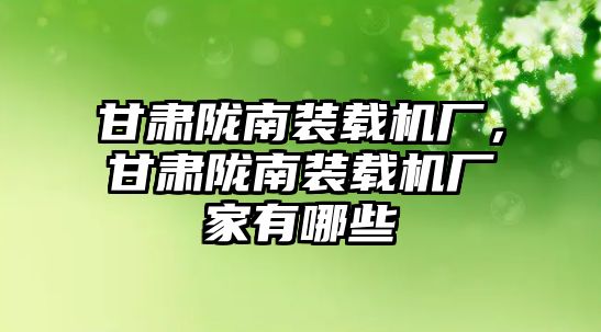 甘肅隴南裝載機廠，甘肅隴南裝載機廠家有哪些