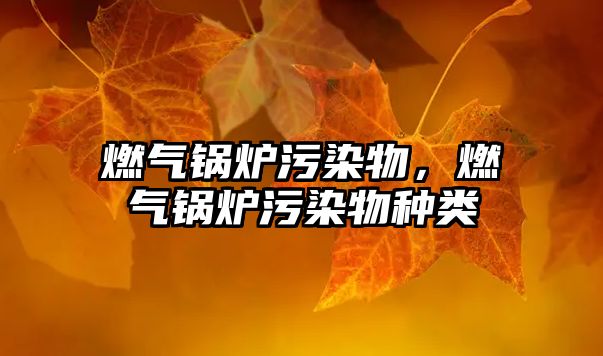 燃?xì)忮仩t污染物，燃?xì)忮仩t污染物種類