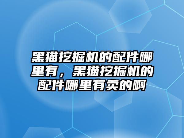 黑貓挖掘機的配件哪里有，黑貓挖掘機的配件哪里有賣的啊