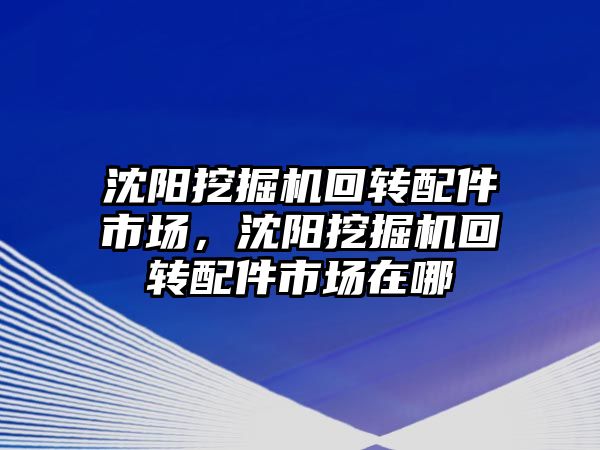 沈陽挖掘機回轉(zhuǎn)配件市場，沈陽挖掘機回轉(zhuǎn)配件市場在哪