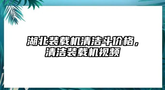 湖北裝載機(jī)清潔斗價格，清潔裝載機(jī)視頻