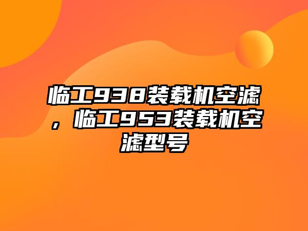 臨工938裝載機(jī)空濾，臨工953裝載機(jī)空濾型號