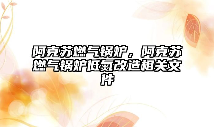 阿克蘇燃?xì)忮仩t，阿克蘇燃?xì)忮仩t低氮改造相關(guān)文件