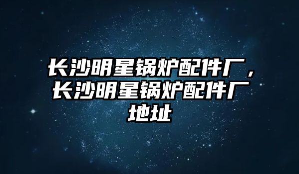 長沙明星鍋爐配件廠，長沙明星鍋爐配件廠地址