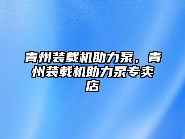 青州裝載機助力泵，青州裝載機助力泵專賣店