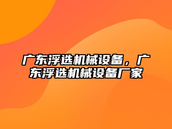 廣東浮選機(jī)械設(shè)備，廣東浮選機(jī)械設(shè)備廠(chǎng)家