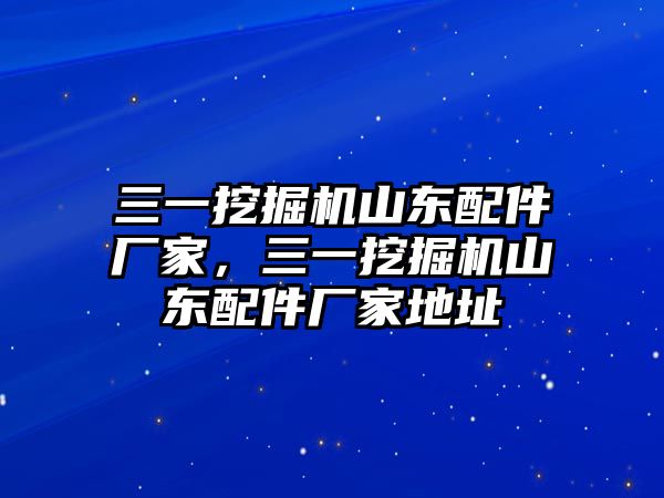 三一挖掘機(jī)山東配件廠家，三一挖掘機(jī)山東配件廠家地址