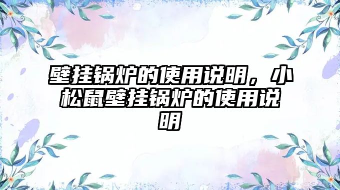 壁掛鍋爐的使用說明，小松鼠壁掛鍋爐的使用說明