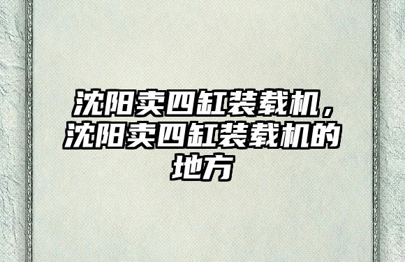 沈陽賣四缸裝載機，沈陽賣四缸裝載機的地方