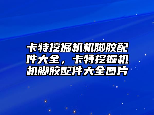 卡特挖掘機機腳膠配件大全，卡特挖掘機機腳膠配件大全圖片