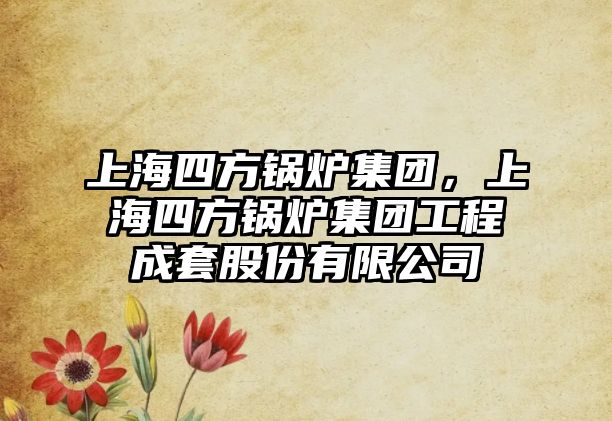 上海四方鍋爐集團(tuán)，上海四方鍋爐集團(tuán)工程成套股份有限公司