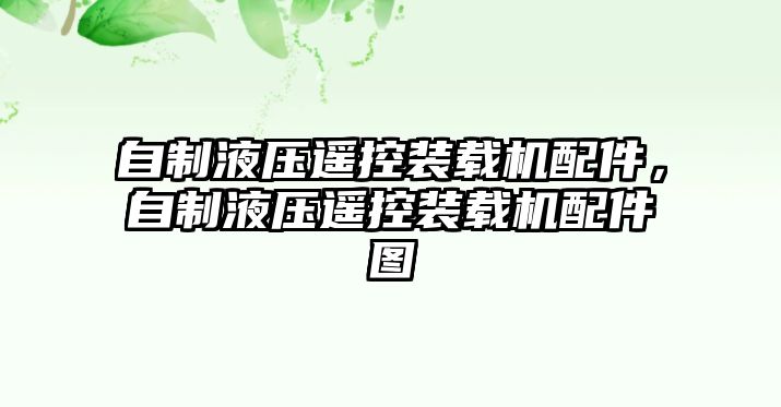 自制液壓遙控裝載機(jī)配件，自制液壓遙控裝載機(jī)配件圖