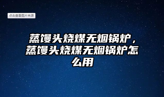 蒸饅頭燒煤無煙鍋爐，蒸饅頭燒煤無煙鍋爐怎么用