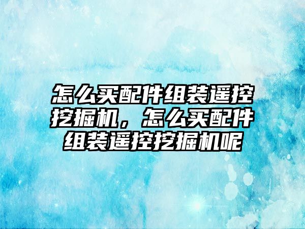 怎么買配件組裝遙控挖掘機(jī)，怎么買配件組裝遙控挖掘機(jī)呢