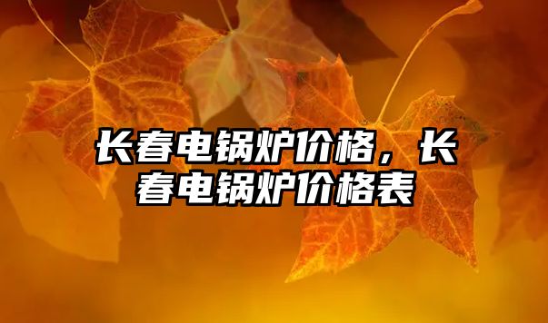 長春電鍋爐價格，長春電鍋爐價格表