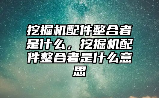 挖掘機(jī)配件整合者是什么，挖掘機(jī)配件整合者是什么意思