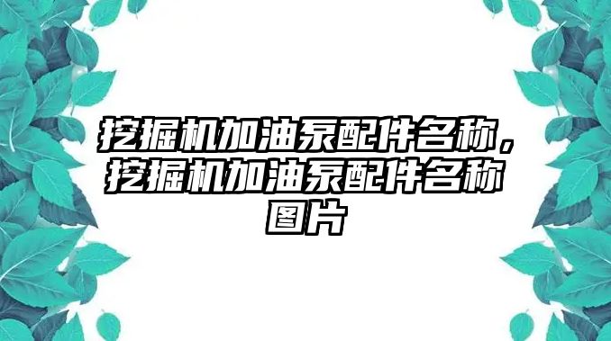 挖掘機加油泵配件名稱，挖掘機加油泵配件名稱圖片