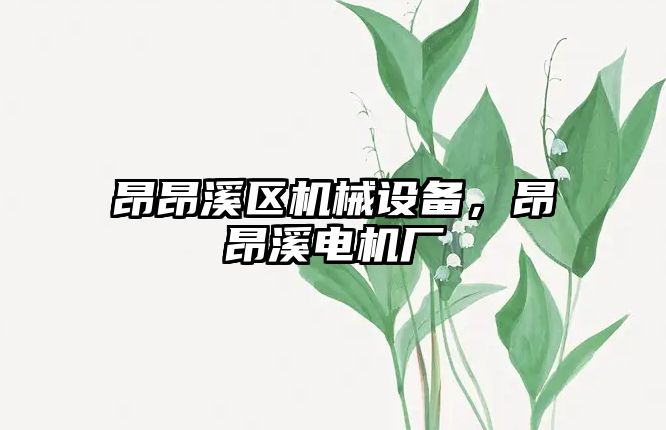 昂昂溪區(qū)機(jī)械設(shè)備，昂昂溪電機(jī)廠(chǎng)