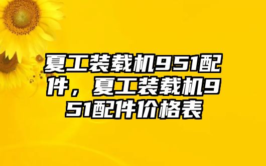 夏工裝載機(jī)951配件，夏工裝載機(jī)951配件價(jià)格表