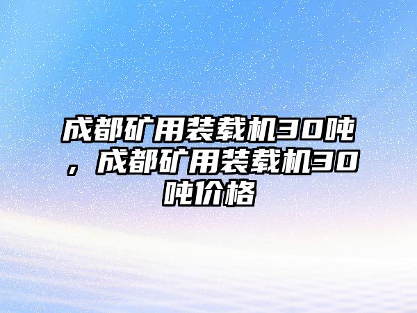 成都礦用裝載機(jī)30噸，成都礦用裝載機(jī)30噸價(jià)格