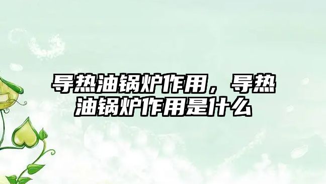 導熱油鍋爐作用，導熱油鍋爐作用是什么