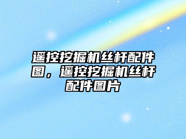 遙控挖掘機絲桿配件圖，遙控挖掘機絲桿配件圖片