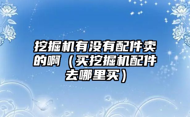 挖掘機(jī)有沒有配件賣的?。ㄙI挖掘機(jī)配件去哪里買）