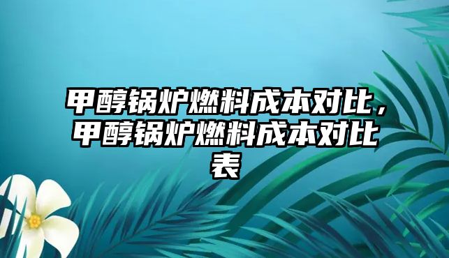 甲醇鍋爐燃料成本對比，甲醇鍋爐燃料成本對比表