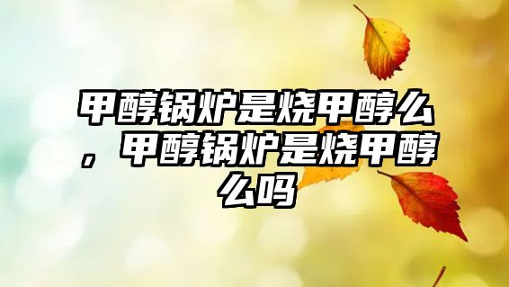 甲醇鍋爐是燒甲醇么，甲醇鍋爐是燒甲醇么嗎