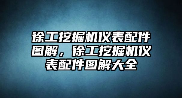 徐工挖掘機(jī)儀表配件圖解，徐工挖掘機(jī)儀表配件圖解大全