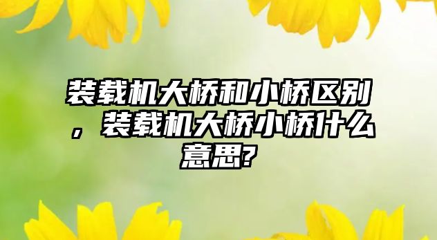 裝載機大橋和小橋區(qū)別，裝載機大橋小橋什么意思?