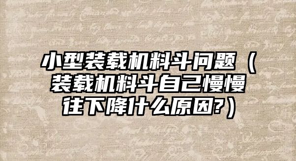 小型裝載機(jī)料斗問題（裝載機(jī)料斗自己慢慢往下降什么原因?）