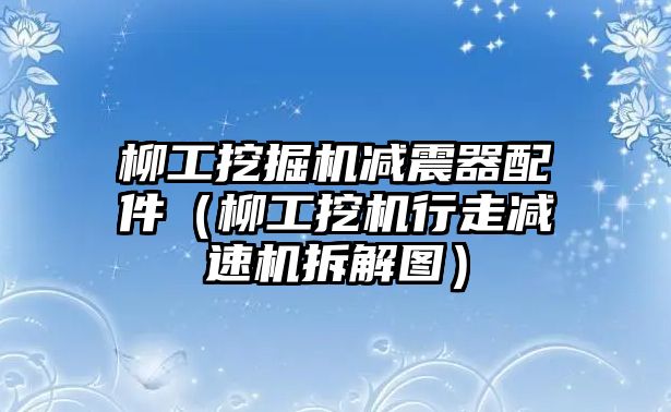 柳工挖掘機減震器配件（柳工挖機行走減速機拆解圖）