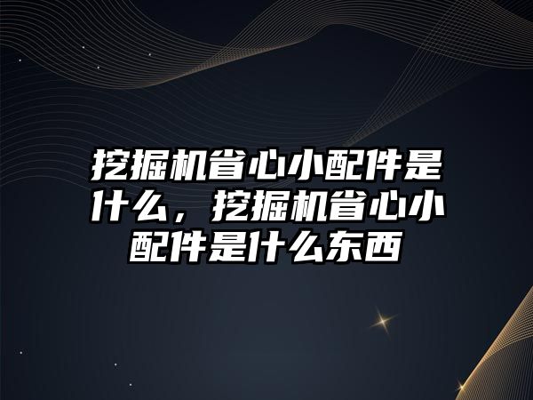 挖掘機省心小配件是什么，挖掘機省心小配件是什么東西