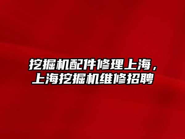 挖掘機配件修理上海，上海挖掘機維修招聘