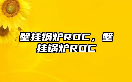 壁掛鍋爐ROC，壁掛鍋爐ROC