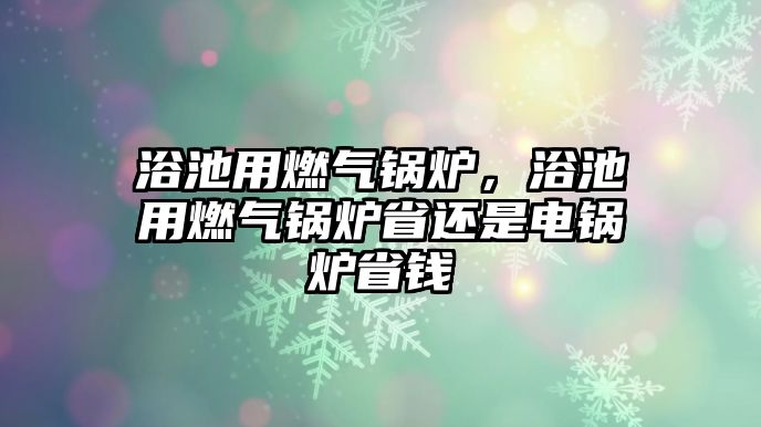 浴池用燃?xì)忮仩t，浴池用燃?xì)忮仩t省還是電鍋爐省錢