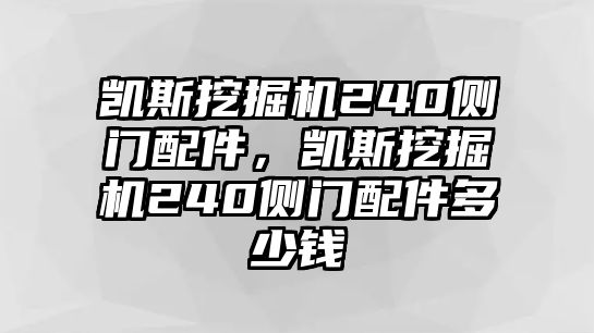 凱斯挖掘機(jī)240側(cè)門配件，凱斯挖掘機(jī)240側(cè)門配件多少錢