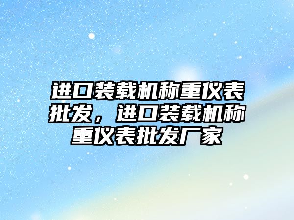 進口裝載機稱重儀表批發(fā)，進口裝載機稱重儀表批發(fā)廠家